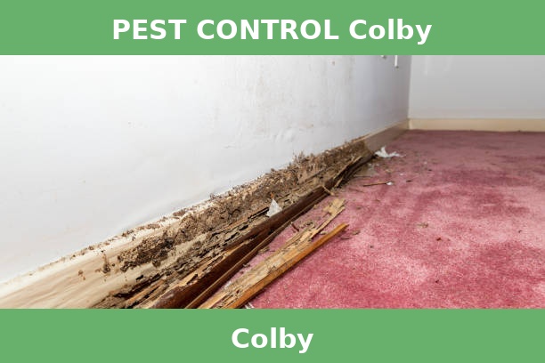 PEST CONTROL Colby
